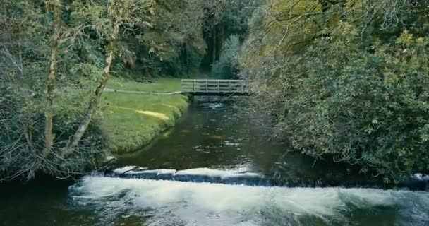 Wooden Bridge Fast Flowing Stream Amidst Dense Trees Kilbrittain Woods — Stock videók
