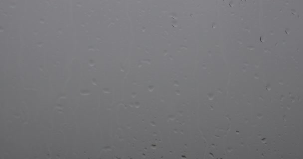 ウィンドウ上の雨のビデオ ぼやけた背景と — ストック動画