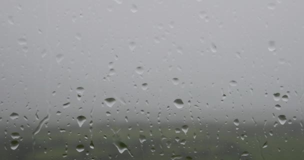 ウィンドウ上の雨のビデオ 背景に緑のフィールドと木と — ストック動画