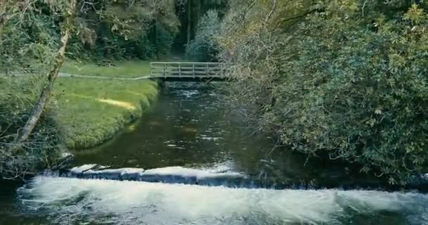 Prchající Voda Potoce Ohraničená Klidnou Zelenou Krajinou Kilbrittain Woods Oddálit — Stock video