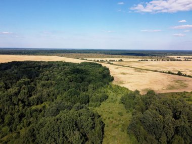 Bir tarlanın yanındaki yeşil yaprak döken orman. Kuş bakışı manzaralı bir yer. Güneşli hava.