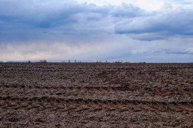 Uçsuz bucaksız bir tarla bulutlu bir gökyüzünün altında..