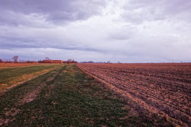 Bulutlu bir gökyüzünün altında engin bir tarlaya uzanan toprak bir yol..