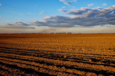 Uçsuz bucaksız bir tarla, ekilmiş toprak, uzakta ağaçlar, ve açık bir gökyüzü..
