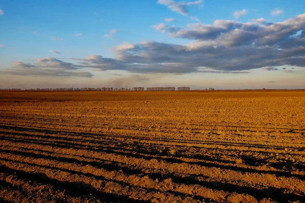A vast field with ploughed soil, trees in the distance, and a clear sky.
