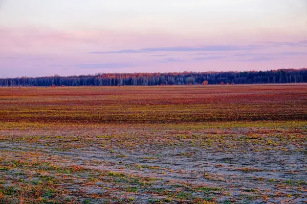 Tilled earth in rows under a colorful evening sky, bare trees afar.