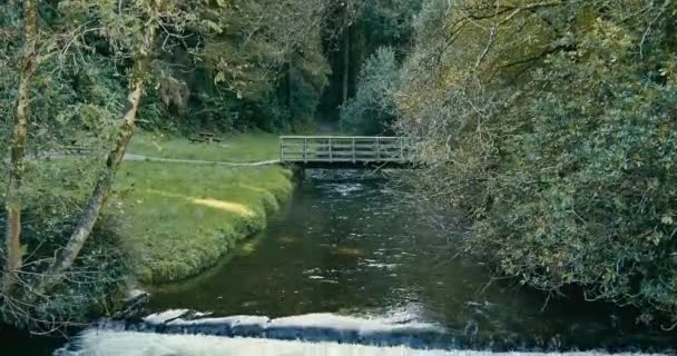 溪流和周围大自然的宁静景象 Kilbrittain Woods Pano — 图库视频影像
