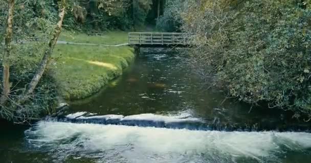 Proud Rychlým Proudem Blízko Mostu Obklopený Stromy Kilbrittain Woods Pano — Stock video