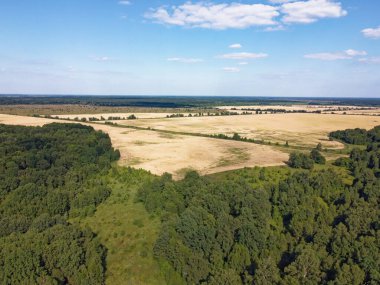 Bir tarlanın yanındaki yeşil yaprak döken orman. Kuş bakışı manzaralı bir yer. Güneşli hava.