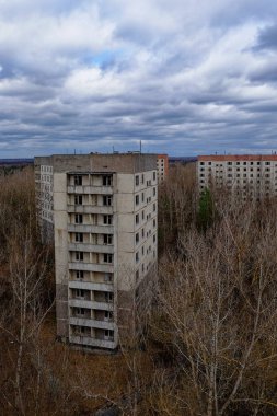 Doğa, iki boş, yıpranmış binanın etrafındaki yerini geri alır..