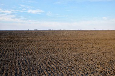 Uçsuz bucaksız bir toprak tarlası gökyüzünün altında dağınık bulutlarla..