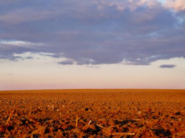 Bulutlu bir gökyüzünün altında dağınık kayalar olan uçsuz bucaksız bir arazi..
