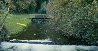 Yeşillik, akan bir akarsu üzerinde küçük bir köprü oluşturur. Kilbrittain Ormanı. pano