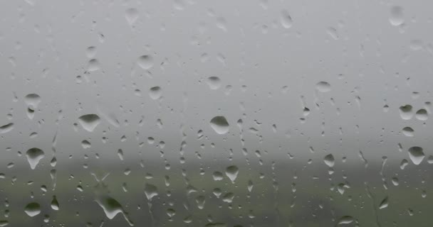 Pencerede Çeşitli Boyutlarda Yağmur Damlaları Var Içeriden Çekilmiş Pano — Stok video