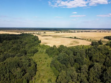 Bir tarlanın yanındaki yeşil yaprak döken orman. Kuş bakışı manzaralı bir yer. Güneşli hava.