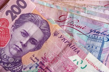 Bu resimde Ukrayna para birimine ilişkin kapsamlı bir bakış açısı sunuluyor, her bir banknot kendine has rengiyle ayırt edilmiş Hryvnia banknotlarının yakın plan görüntüsü..