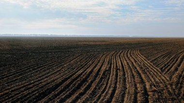 Tarlaya sürülmüş tarlalar ekilmeye hazır, yukarıda mavi gökyüzü.