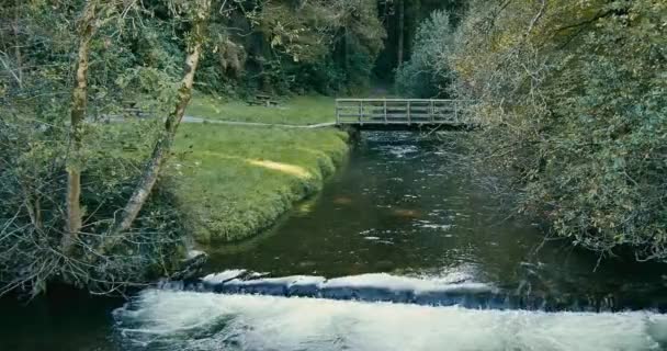 Eine Holzbrücke Überblickt Das Schnelle Wasser Eines Geschlossenen Baches Kilbrittain — Stockvideo