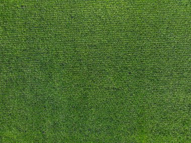 Geniş mısır tarlaları, üst manzara. Yeşil tarlalar, manzara.