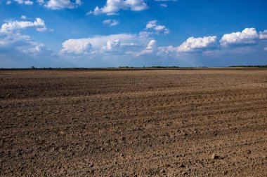 Büyük, boş bir tarım arazisi ve bulutların kahverengi toprağı..