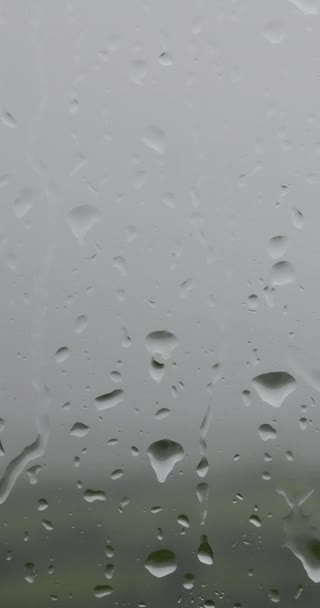 Arkaplanı Bulanık Pencereye Düşen Yağmur Damlaları Dikey Video Pano — Stok video