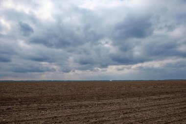 Uçsuz bucaksız bir tarla, bulutlu bir gökyüzünün altında..