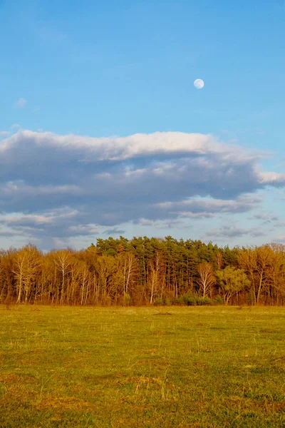 A bright day with the moon out; below are clouds, woods and an expansive green field.