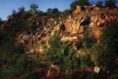 Yeşil bitkiler engebeli, kayalık bir arazide büyür..