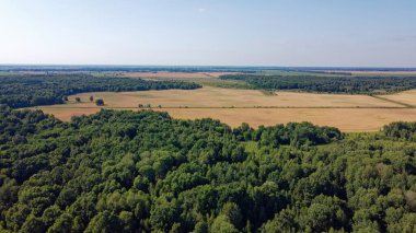 Bir tarlanın yanındaki yeşil yaprak döken orman. Kuş bakışı manzaralı bir yer. Güneşli hava.