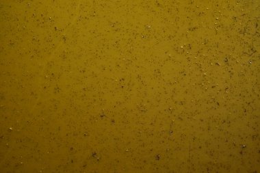 Çok sayıda küçük, dağınık siyah benekleri olan kahverengi bir yüzeye yakından bakmak..