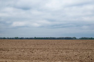 Uçsuz bucaksız bir tarla, bulutlu bir gökyüzünün altında..