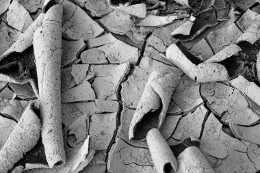 Kurumuş toprak çatlamış ve kıvrılmış, altında yatan toprak ve yosunları ortaya çıkarıyor..