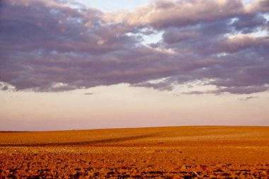 Bulutlarla dolu bir gökyüzünün altındaki kayalık zeminin geniş bir görüntüsü.