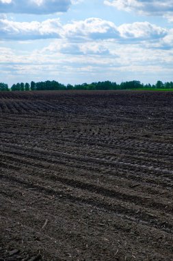 Geniş, yeni sürülmüş bir tarlanın üzerindeki bulutlu gökyüzü.