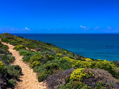 Görüntü, açık bir gökyüzünün altında, denizin kayalık kıyılarla buluştuğu, zengin bitki örtüsüyle çevrili, parlak bir günü yakalıyor..