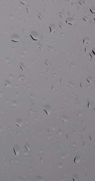 窓に雨が降り 灰色の日に撮影されました バーティカルビデオ — ストック動画