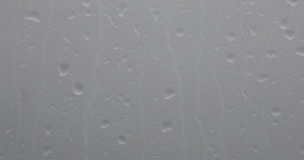 窓に雨が降り 背景がぼやけている — ストック動画