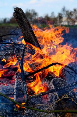 Mavi gökyüzüne karşı turuncu alevler. Yasadışı yaprak yakma ve kuru ot.