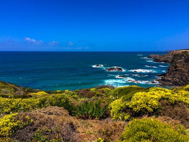 Ön planda yemyeşil yemyeşil, kayalık uçurumlar ve kayalara çarpan beyaz dalgalarla dolu derin mavi bir okyanus sahnesi..