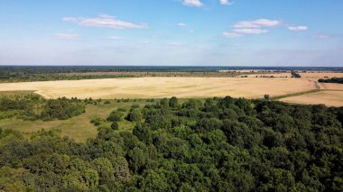 Bir tarlanın yanındaki yeşil yaprak döken orman. Kuş bakışı manzaralı bir yer. Güneşli hava.
