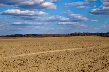 Open farmland with rich soil and a cloud-filled sky. clipart