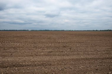 Ufuk, toprağın gökyüzü ile buluştuğu yeri gösteriyor..