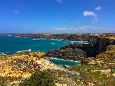 Engebeli bir sahil şeridinde parlak bir gün. Değişik bitkiler, berrak bir gökyüzünün altında canlı mavi bir denize bakıyor..