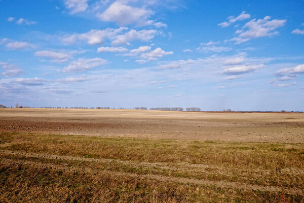 The field is barren and the sky is cloudless.