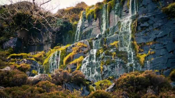 Etrafı Yeşilliklerle Çevrili Kayalık Bir Uçurumdan Şelale Düşüyor — Stok video