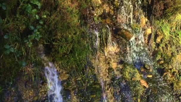 Ein Kleiner Wasserfall Fällt Über Bemooste Felsen Umgeben Von Grüner — Stockvideo