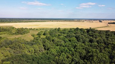 Bir tarlanın yanındaki yeşil yaprak döken orman. Kuş bakışı manzaralı bir yer. Güneşli hava.