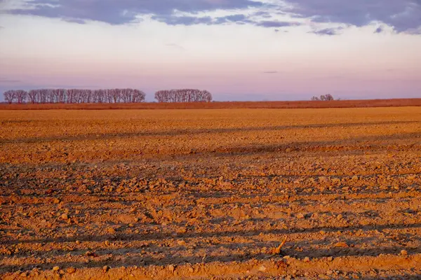 Sunset over a barren field with distant tree line and cloudy sky.