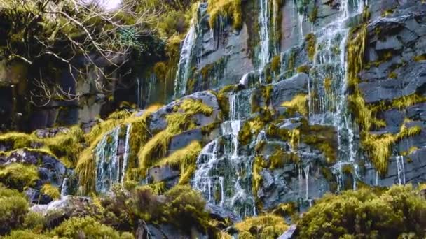 Natural Waterfall Flows Amidst Rocks Vegetation — Stock Video