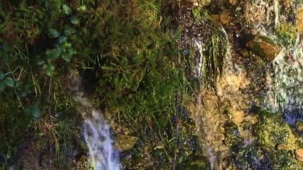 Vodopád Průzračnou Vodou Tekoucí Přes Zelené Mechové Skály Rostliny — Stock video